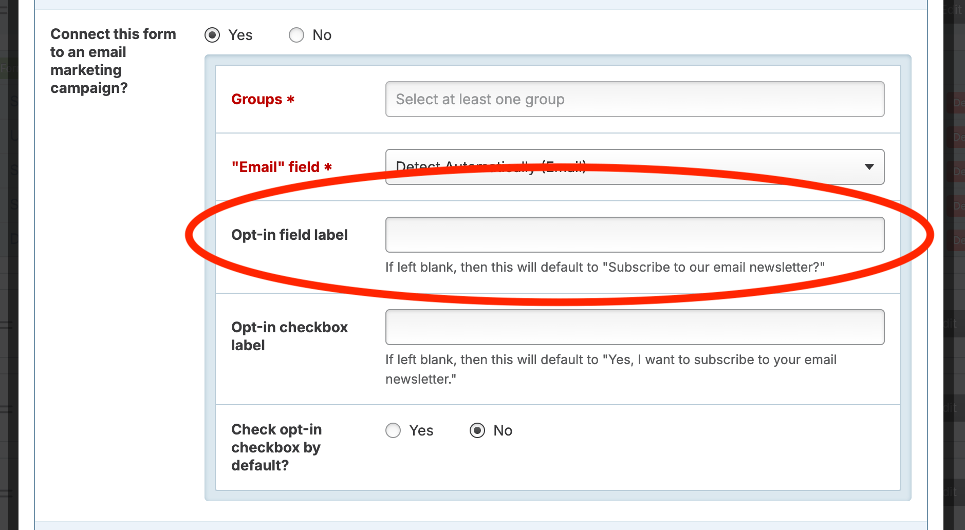 Screenshot: Opt-in field label text box